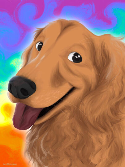 Tucker - Pet Portrait